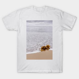 Seaweed T-Shirt